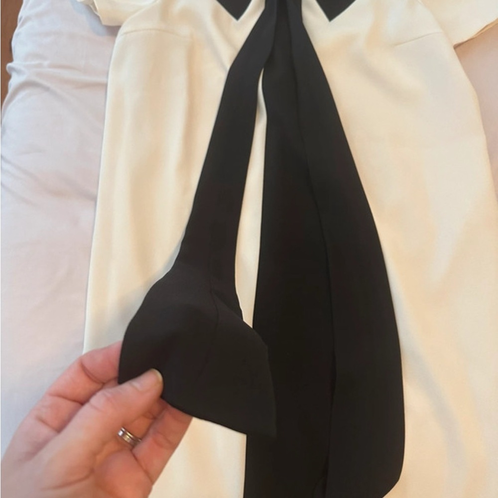 Cream and Black Sheath Mini Dress with Puff Sleeves - Picture 4 of 4